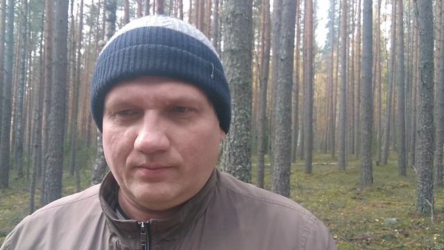 №2 Гармонизация энергий и тонких полей смотреть онлайн