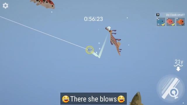 Fishing & Life #37 | Catching Ufa Rufa and Sea Dragon | The last two fish in Version 0.0.88 смотреть онлайн
