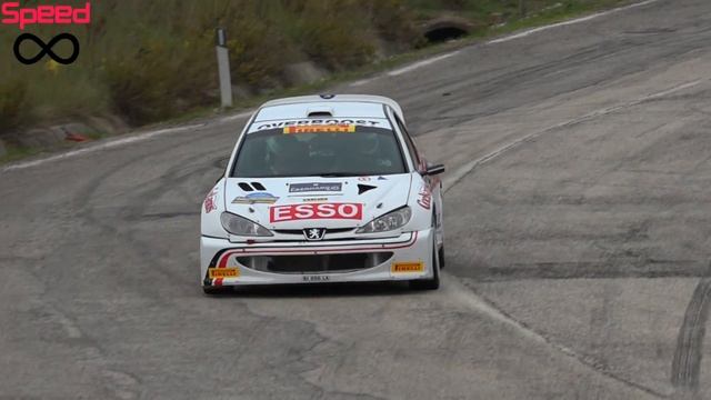 Peugeot 206 WRC Pure Sound смотреть онлайн