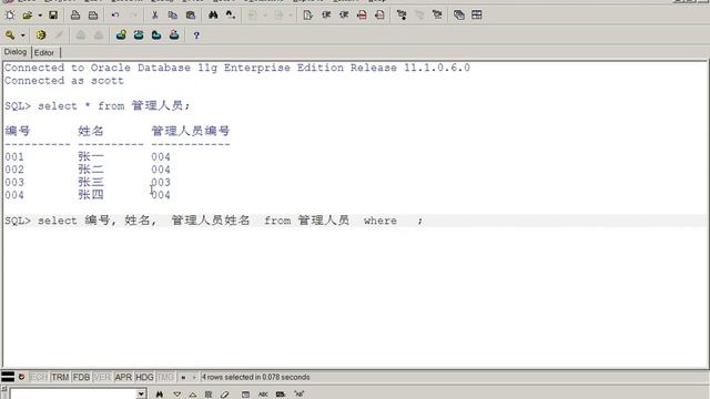 02-02.Oracle11g的复杂SQL语句 смотреть онлайн