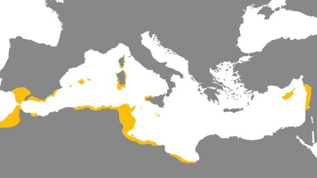 The Entire History of the Phoenicians (2500 - 300 BC) // Ancient History Documentary смотреть онлайн