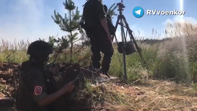 Ураган один из действенных аргументов Отважных смотреть онлайн