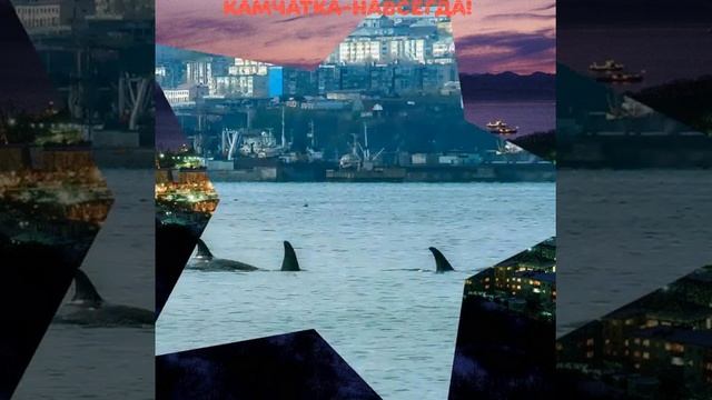 Камчатка навсегда смотреть онлайн