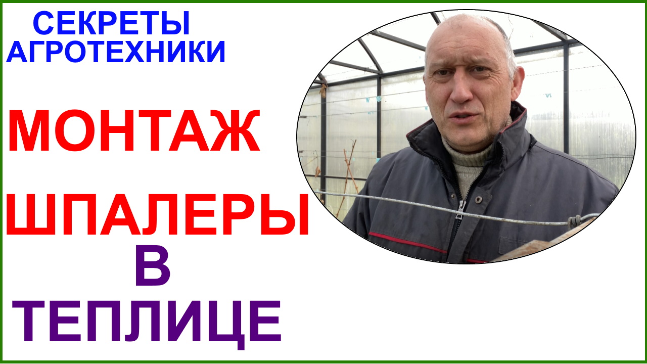 Шпалера в теплице. Личный опыт и вынужденная реконструкция. смотреть онлайн