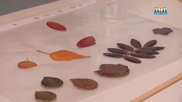 Украшения из растений смотреть онлайн