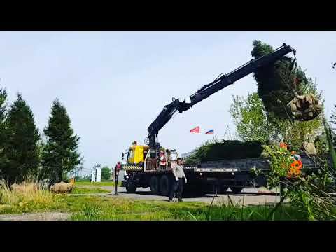 разгружаю Ёлки смотреть онлайн