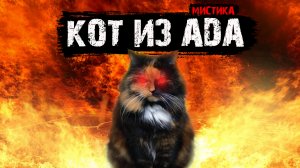 Мистические истории из жизни - Кот из Ада.