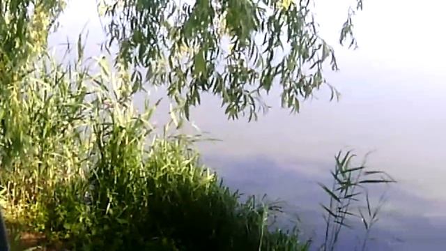 Что водится в Вишенском озере !!!!!!!!? смотреть онлайн