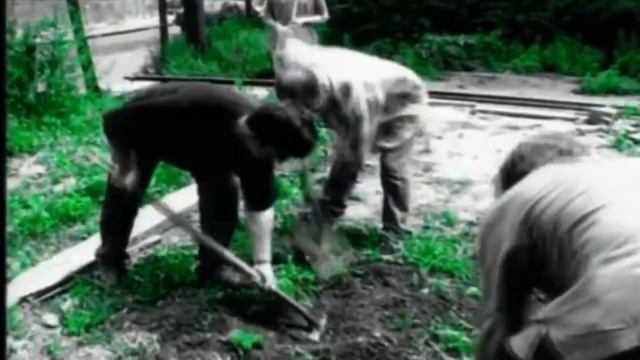 Oasis - Live Forever (Stripped Down Mix)