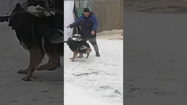Встреча с вахты.