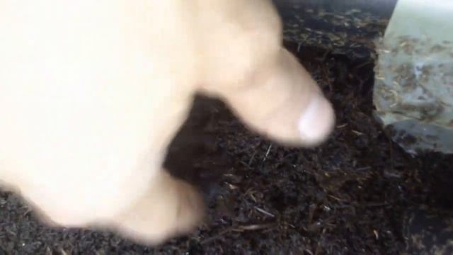 1 Черви вскрытие ящиков смотреть онлайн