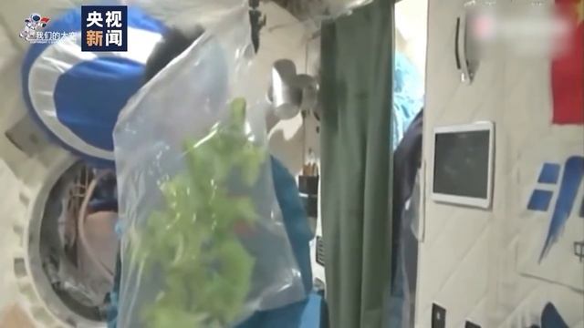 Что едят китайские космонавты в космосе смотреть онлайн