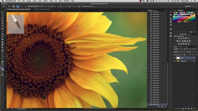 Photoshop Mixer Brush 12C&12D смотреть онлайн