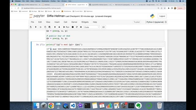 A Programmer's Guide to Diffie-Hellman in Python From Scratch смотреть онлайн