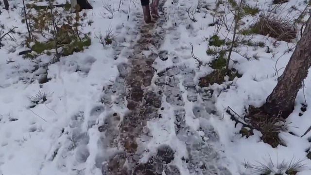 хр. Большой #КРАКА 22.05.2022г.,22,5 километра пешей части по хребту (823-1004-Бабай(970)-1009-1008 смотреть онлайн