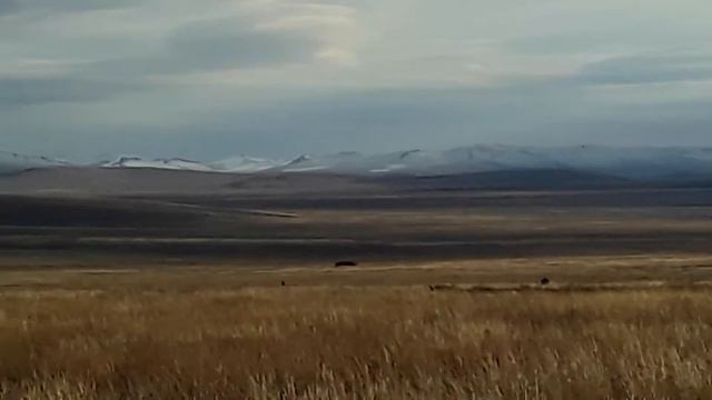 Степь и гора забайкалья смотреть онлайн