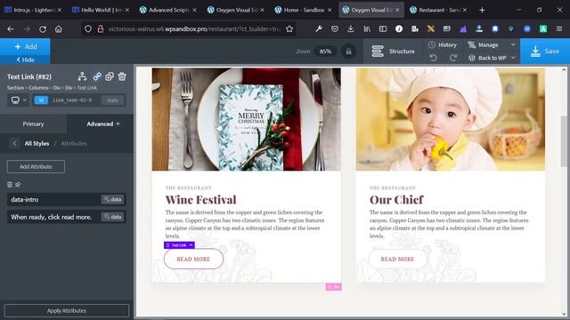 Add A Guided Tour To Your Website | INTRO.JS TUTORIAL | WordPress, Oxygen Builder, HTML5 смотреть онлайн