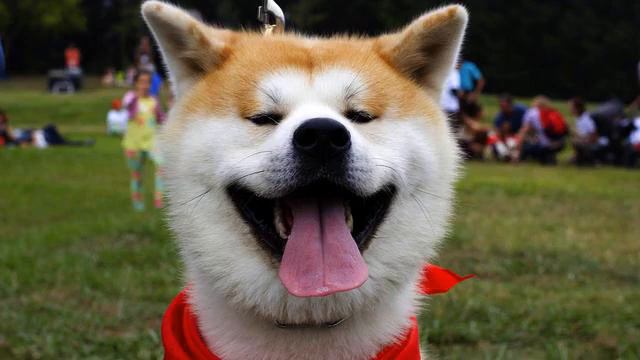 Самая хорошая песня про любовь - онлайн смотреть смотреть онлайн