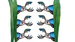 Колобок (Kolobok) Симбирская сказка. Гора самоцветов