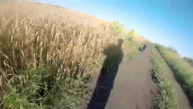 VID_20230905_142103_869~2.mp4 #охота #птица смотреть онлайн