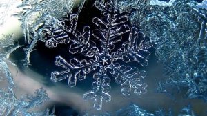 Познавательный видеоролик "История снежинки, или Чудо на рукавице"