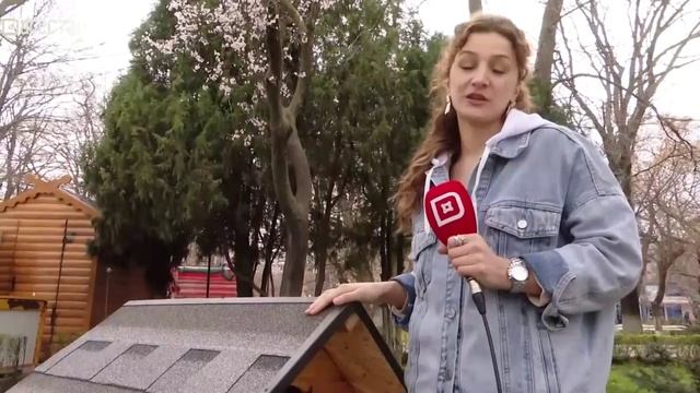 Молодежный микс. Школьные годы против студенческой жизни