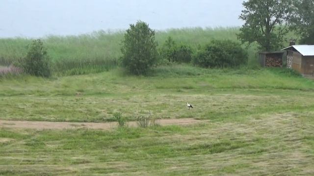 Вершина Селигера. смотреть онлайн