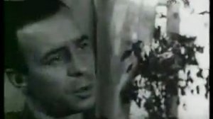 Нас извлекут из под обломков