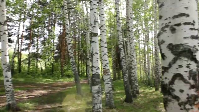 НЕКРАСОВСКОЕ НА ВОЛГЕ смотреть онлайн