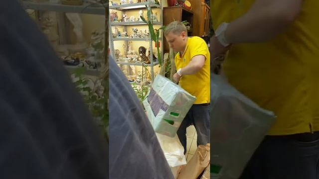 Сумки клиента смотреть онлайн