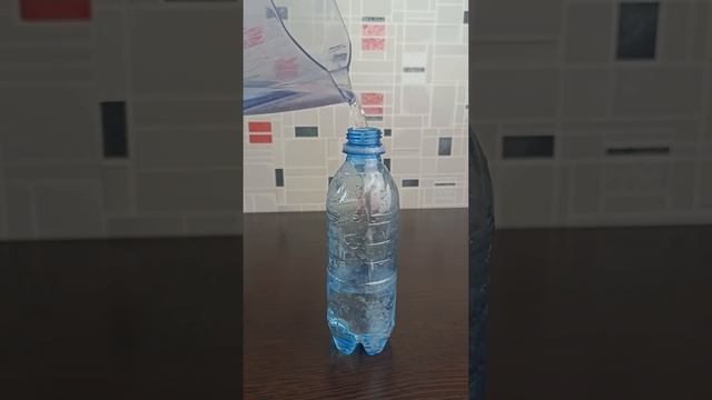 Что делать при укусе тарантула. Последствия укуса смотреть онлайн