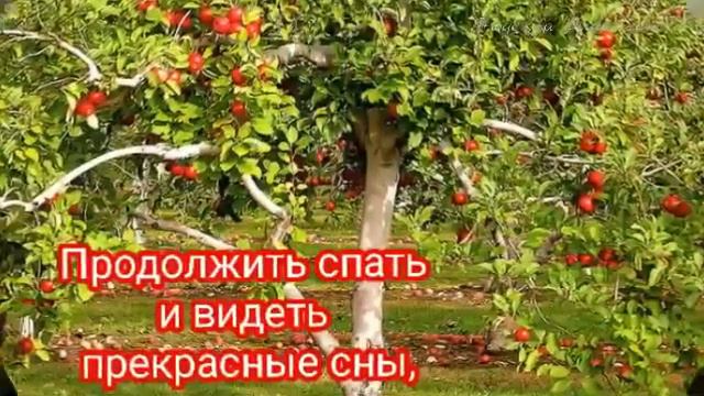 ДОБРОЕ УТРО! УДАЧНОГО ДНЯ! ПРИВЕТ ОТ МЕНЯ! смотреть онлайн