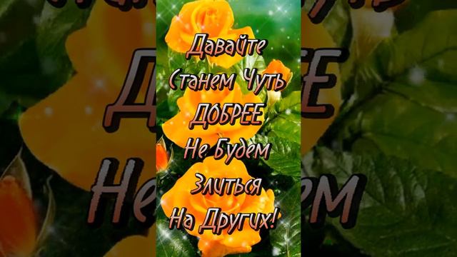 17февраля День Доброты! смотреть онлайн