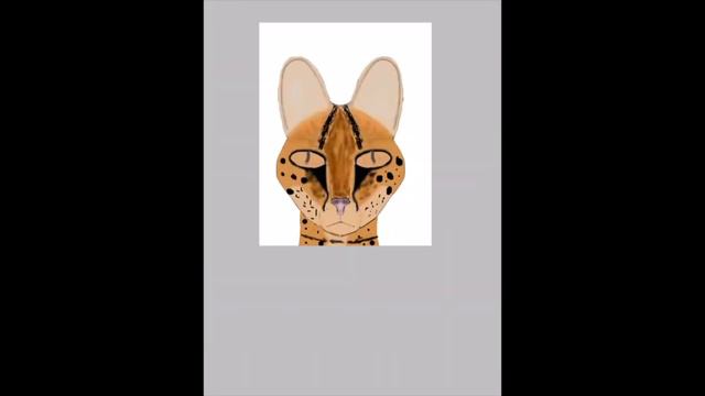 Serval: A Drawing Timelapse смотреть онлайн