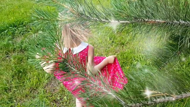 Почемучкина сказка "Как из ёлки платье сделали" смотреть онлайн