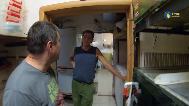 ПАНАКФИШ серьезное аквариумное хозяйство г.Челябинск смотреть онлайн