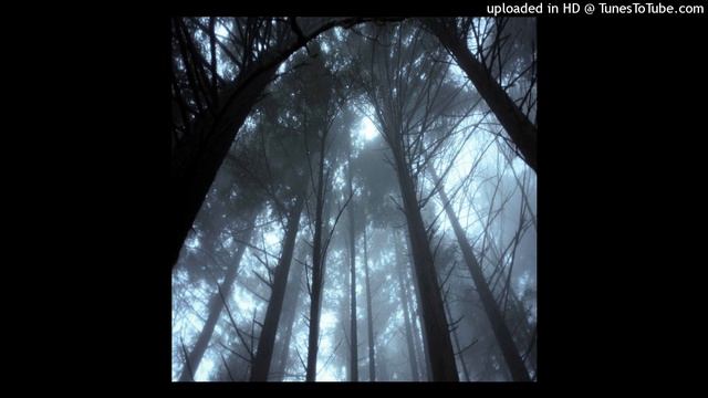 [free] alien + ambient + maoricore type beat [prod. hyorinmaru + extra] смотреть онлайн