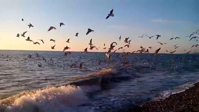 Лазаревское.15 января 2017 г. смотреть онлайн