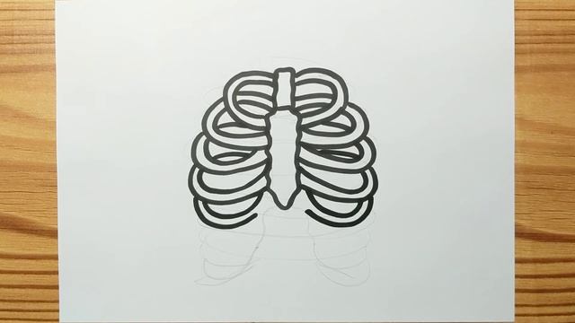 How To Draw HUMAN RIB BONE Easy