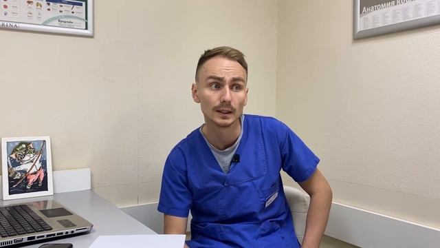 Обработки от паразитов домашних животных смотреть онлайн