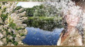 Расцвела черёмуха       исп. В.Королёв