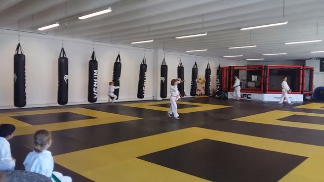 Stjepan Anton Karate Trainig смотреть онлайн