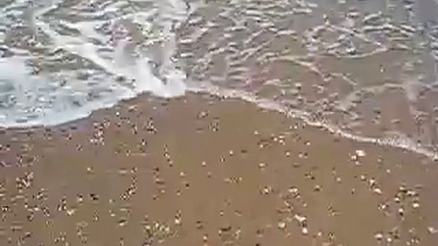 Турция, Сиде, отель Paradise Side Beach 5* - пляж смотреть онлайн