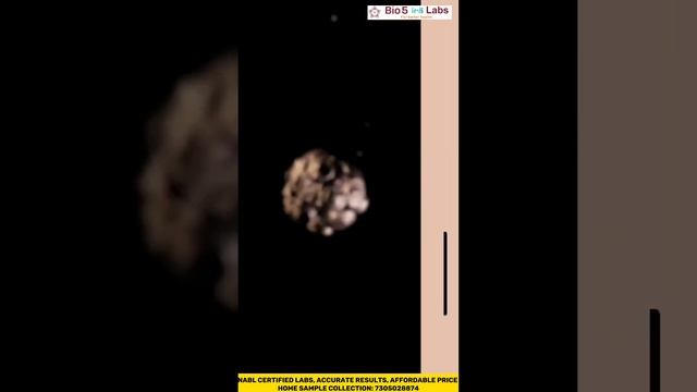 Cancer Awareness Week! смотреть онлайн