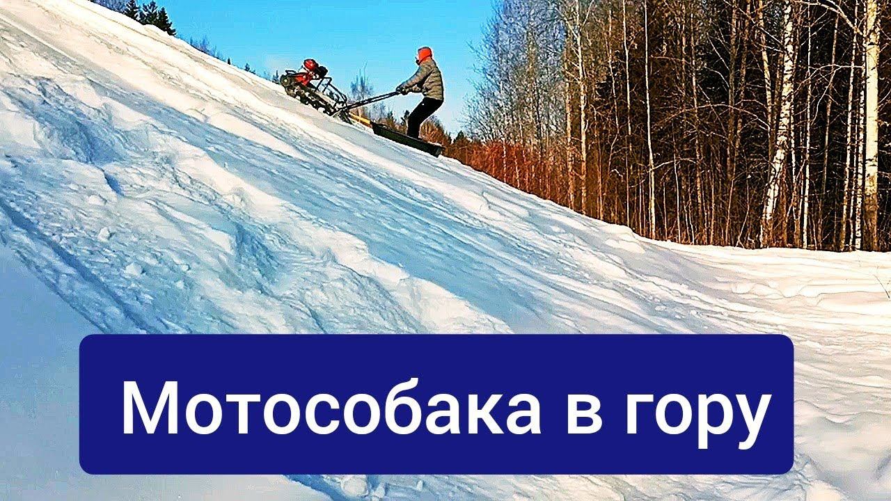 Испытания форза 6,5 в февральском снегу смотреть онлайн