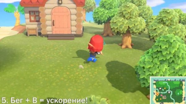 ПРОСТЫЕ СОВЕТЫ ДЛЯ НОВИЧКОВ! ANIMAL CROSSING: New Horizons!