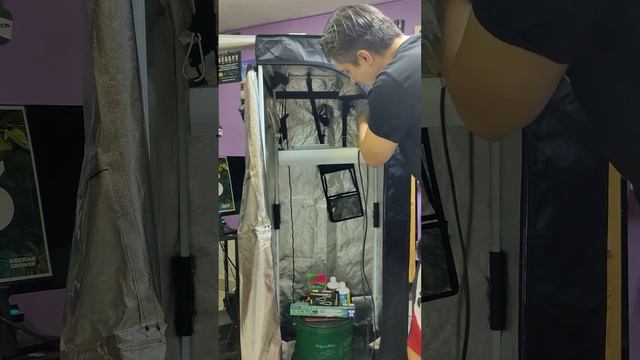 Led светильник для растений RedDewil Samsung lh301 и lh351 в гроубоксе 60-60-160 смотреть онлайн