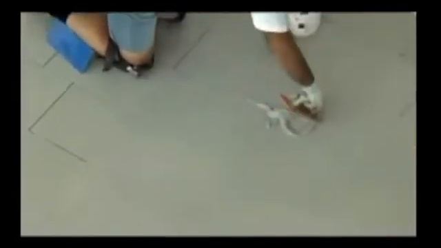 FUGALITE ECO - автосалон. Практическое применение. смотреть онлайн