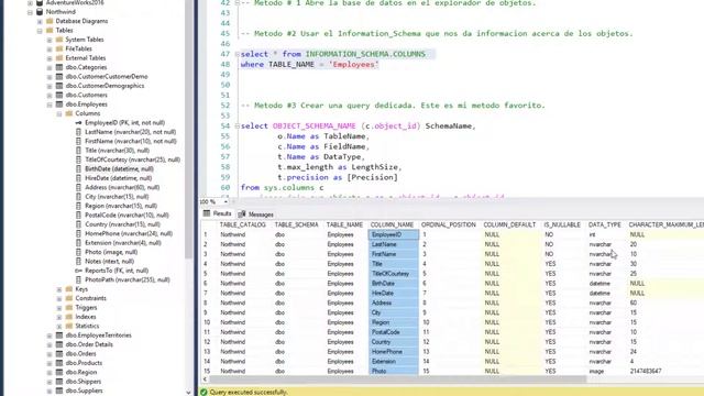 Cómo ver los detalles de las columnas en una tabla de SQL Server смотреть онлайн