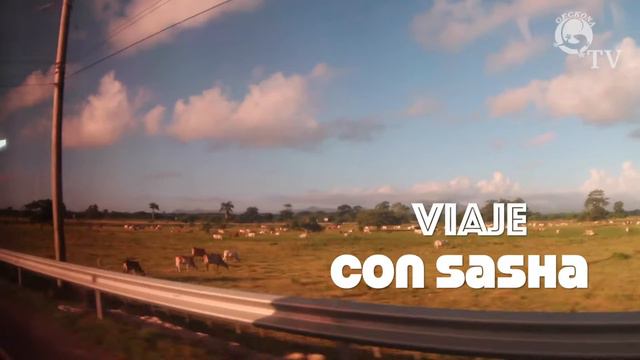 Обзор Доминикана смотреть онлайн